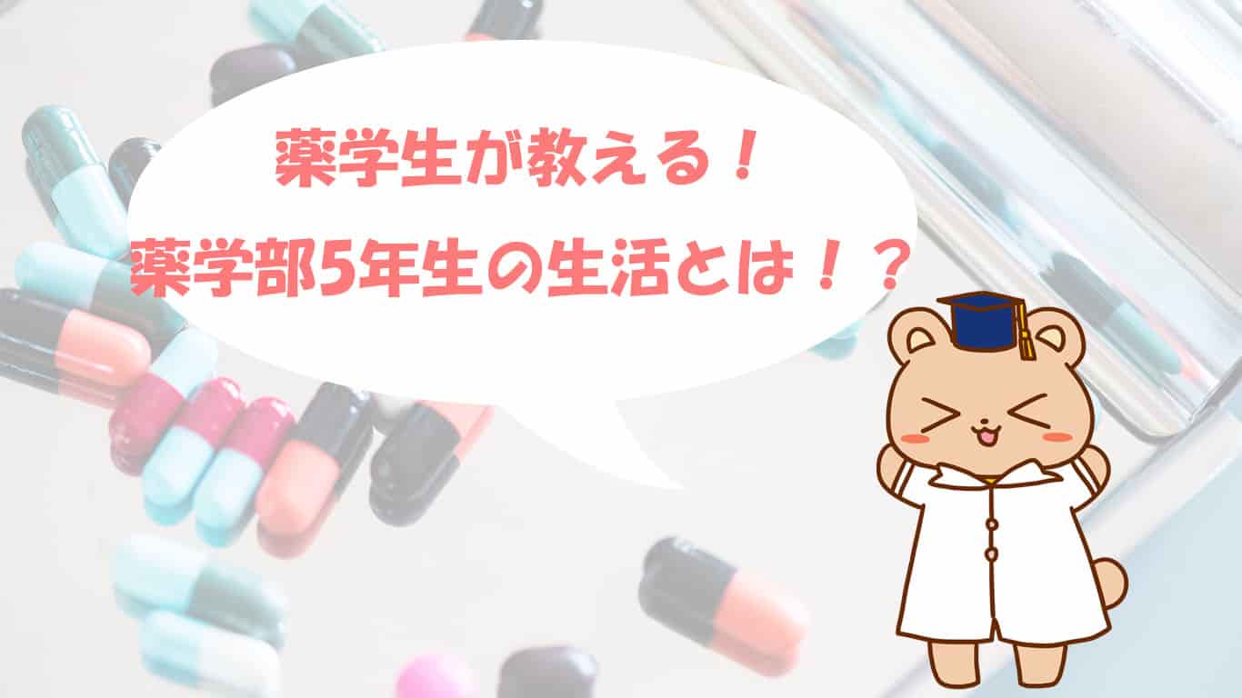 薬学生が教える 薬学部5年の生活とは ほむくまブログ