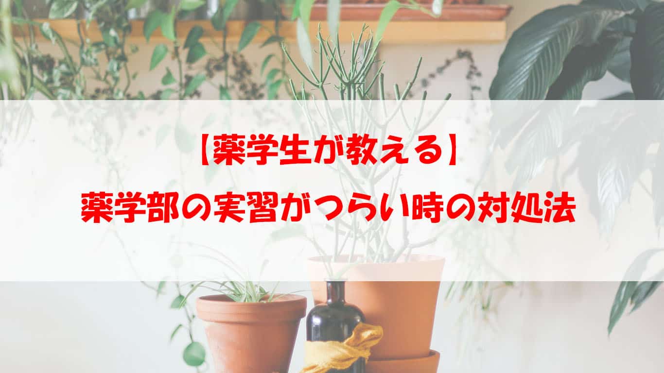 薬学生が教える 薬学部の実習がつらい時の対処法 ほむくまブログ