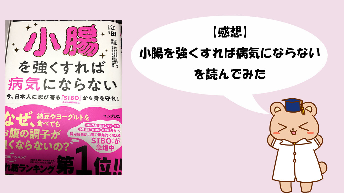 感想 小腸を強くすれば病気にならないを読んでみた ほむくまブログ