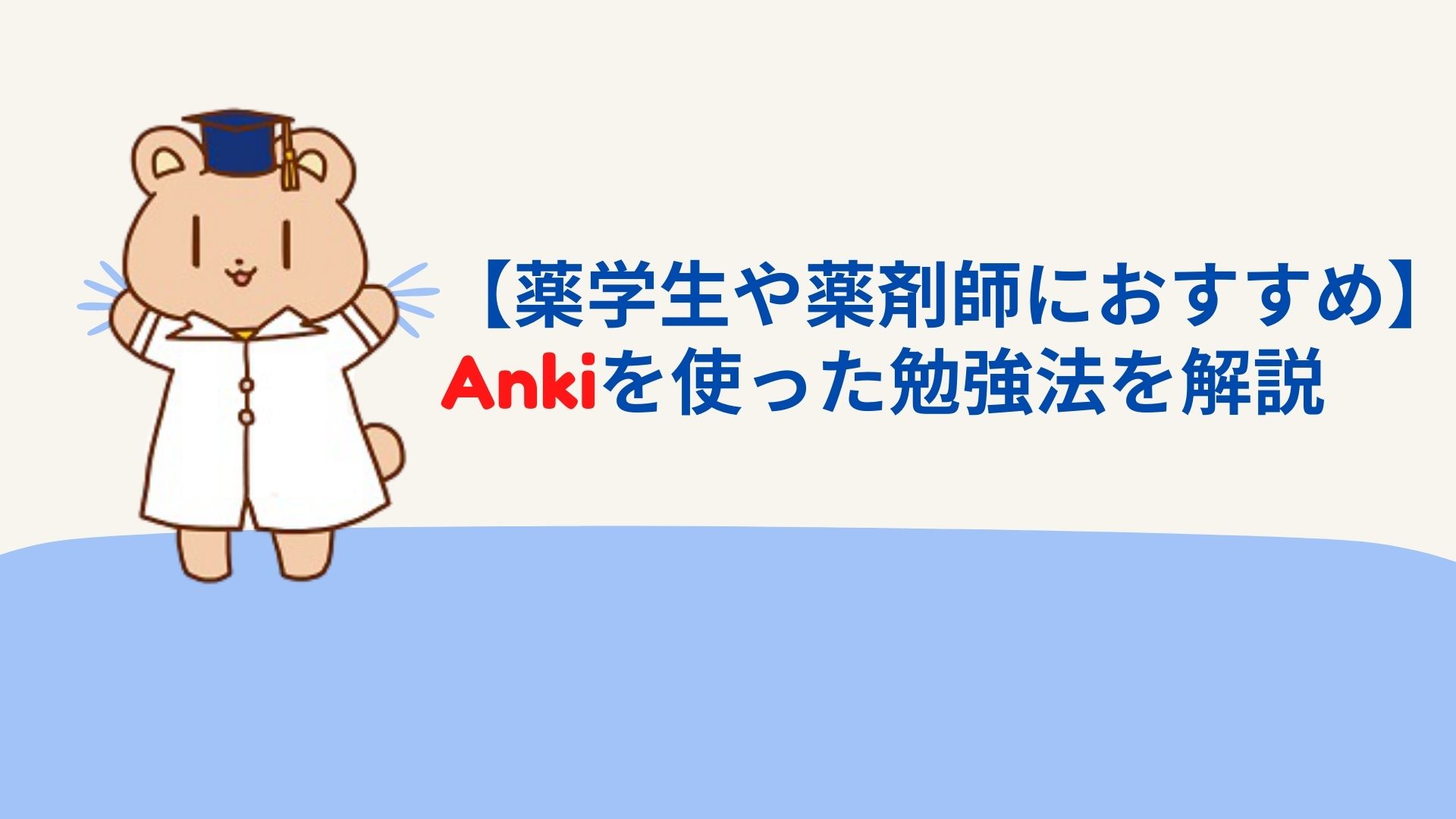 薬学生や薬剤師におすすめ Ankiを使った勉強法を解説 ほむくまブログ